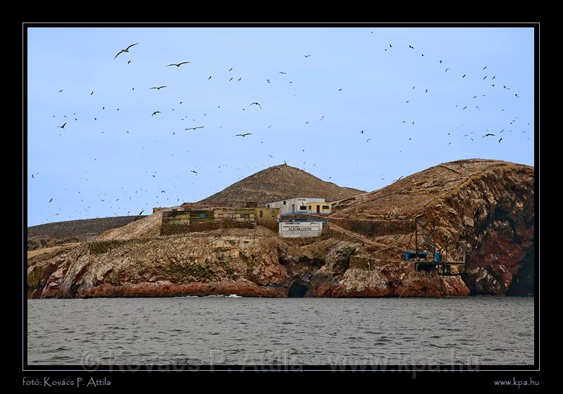 Ballestas Islands 045.jpg